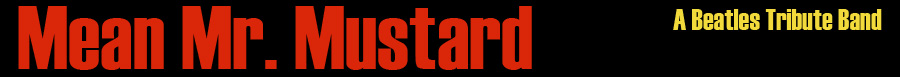 MeanMrMustardBand